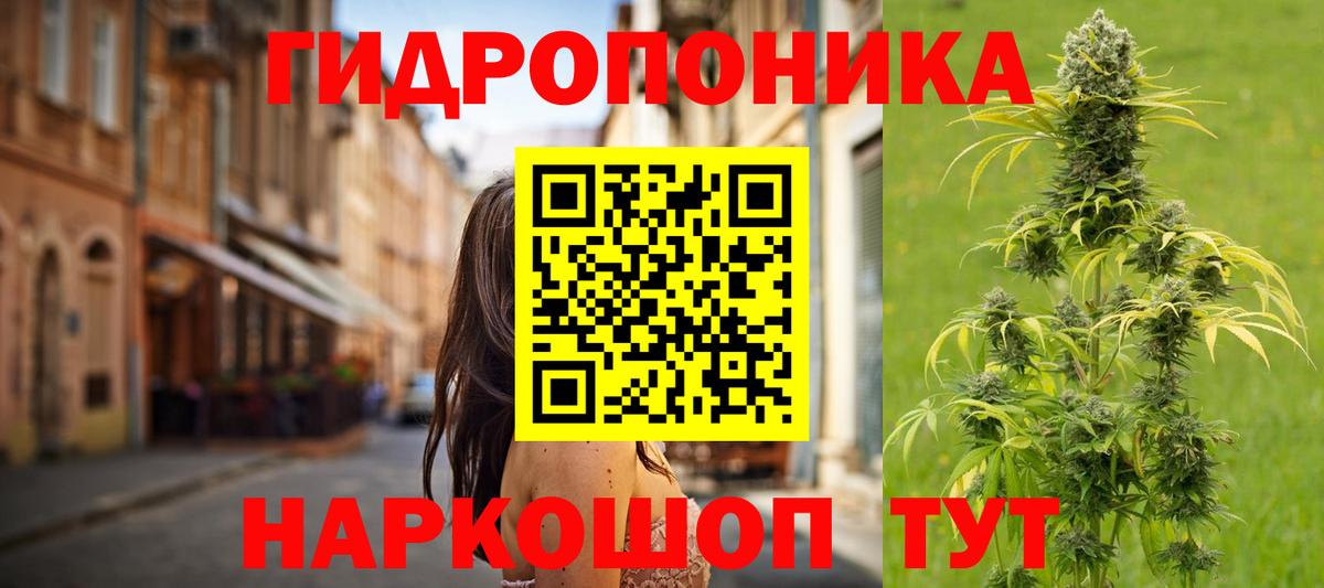 Каннабис сатива Химки